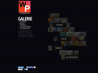 Maler, Künstler, Malunterricht, Zeichenunterricht, Aftragsmalerei